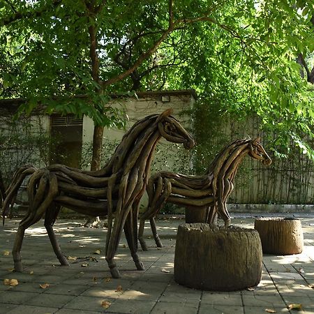 שנג'ן Beilingju Hotel מראה חיצוני תמונה